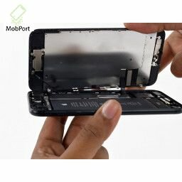 Speaker (спикер/слуховой динамик + сетка динамика) для iPhone 7/8/SE(2020)/SE(2022) — фото 1