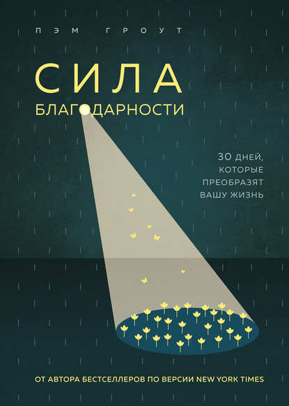 Сила благодарности [Цифровая книга]
