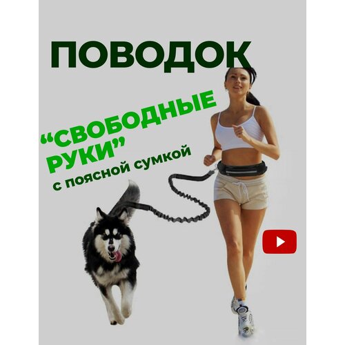 Поводок свободные руки для бега с собакой