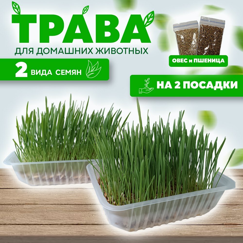 Трава для кошек...