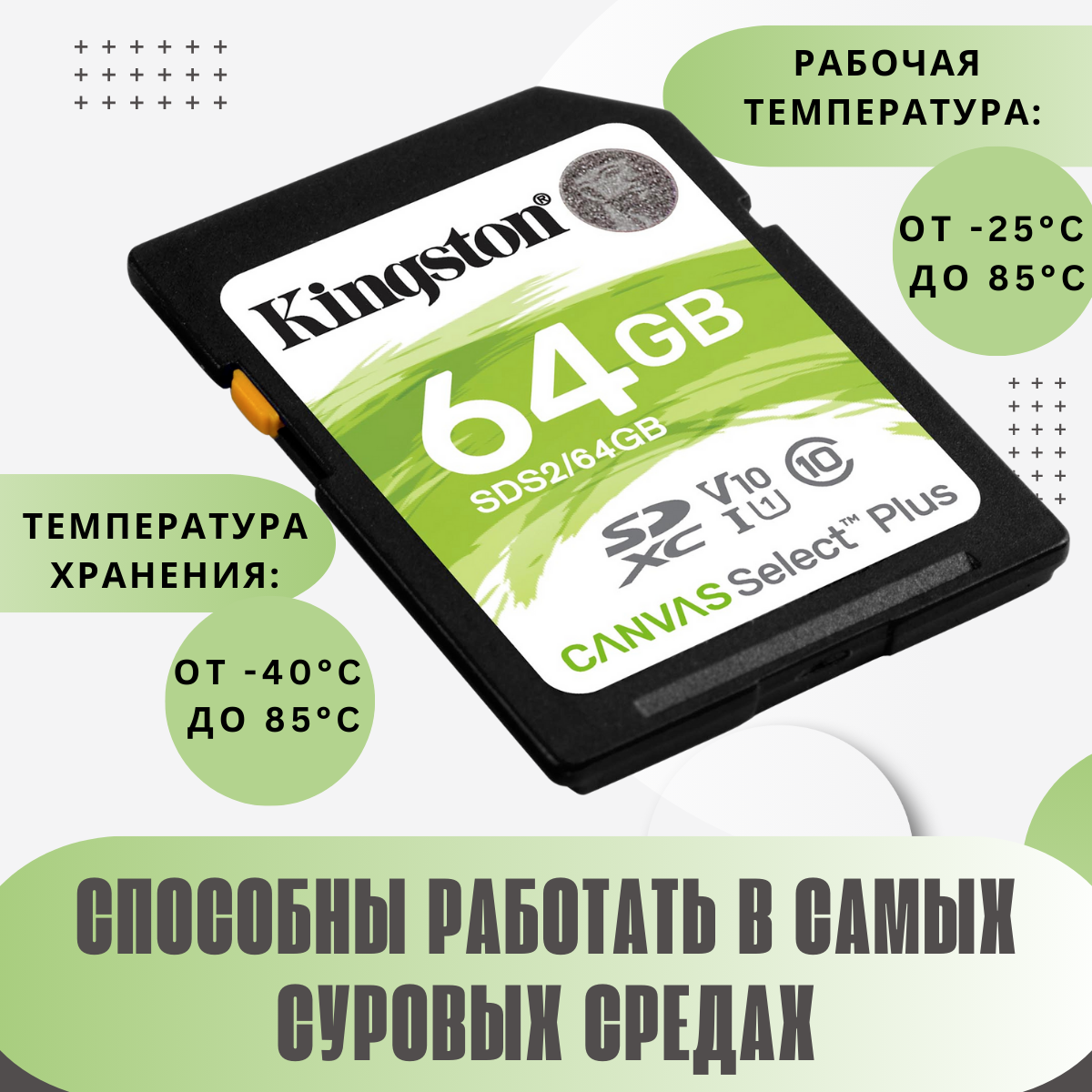 Карта памяти SDXC Kingston Canvas Select Plus, 64 Гб, UHS-I Class 10 U1, зеленая, SDS2/64GB — фото 1