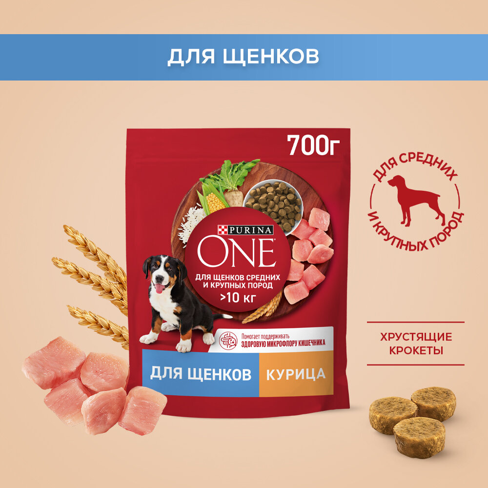 Сухой корм PURINA ONE® для щенков средних и крупных пород с курицей и рисом, 700 г