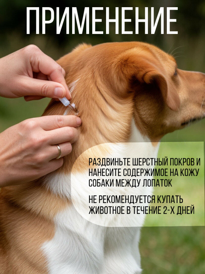 Капли Др. Эсенциали для комплексного ухода за кожей собак от 20 до 40 кг, 4 пипетки — фото 1