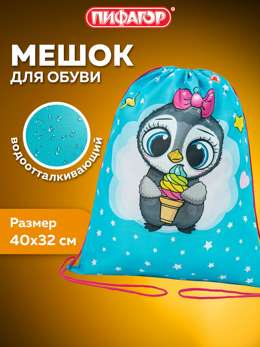 Сумка - мешок рюкзак для сменной обуви (сменки) Пифагор 1 отделение 40х32 см Smart penguin 271602
