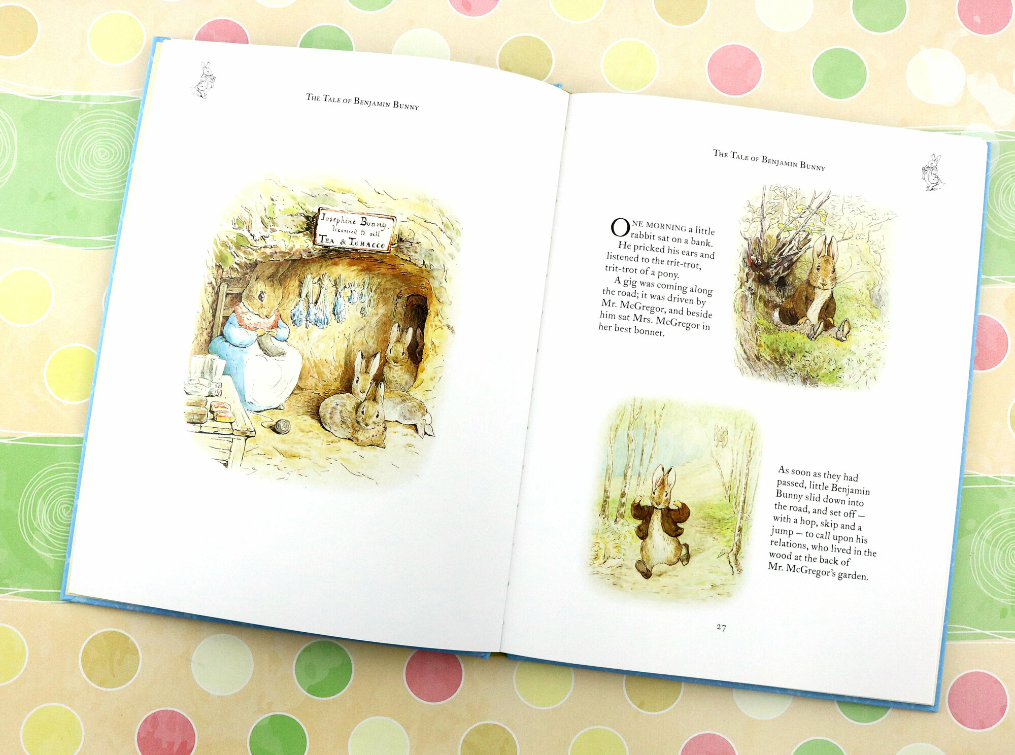 Peter Rabbit (Beatrix Potter) - фото №5