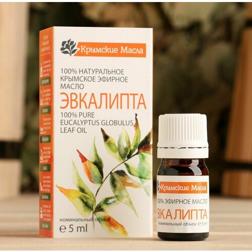 Эфирное масло Эвкалипт 5 мл 492₽