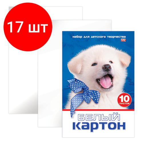 Комплект 17 шт, Картон белый А4 мелованный, 10 листов, в папке, HATBER VK, 205х295 мм, Белый щенок,10Кб4 15023, N234884