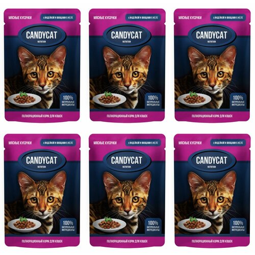 CandyCat Пауч для кошек, кусочки с Индейкой и овощами в желе, 85 г, 6 шт
