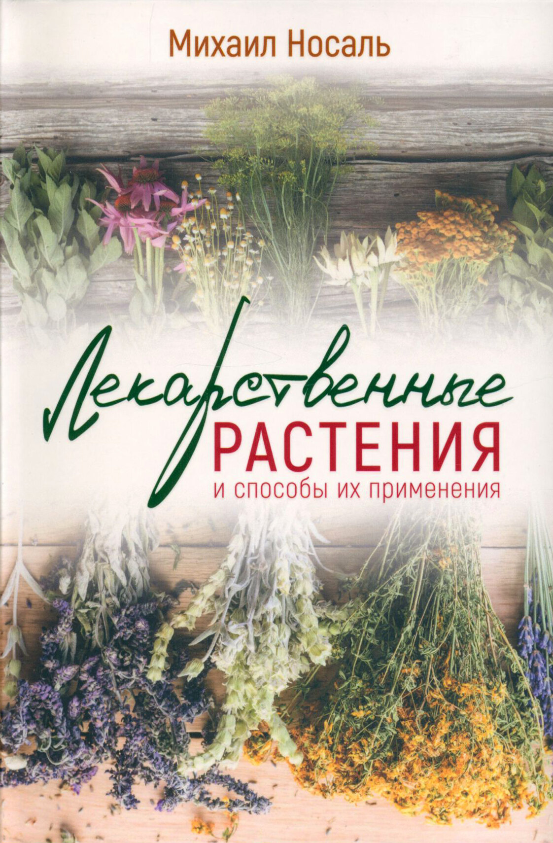 Лекарственные растения и способы их применения в народе - фото №14