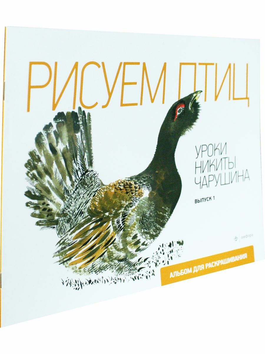 Р Рисуем птиц Уроки Никиты Чарушина Вып.1 - фото №7