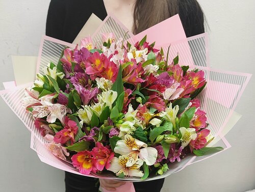 Изображение товара Монобукет из 25 ярких альстромерий от Bestflo купить с доставкой