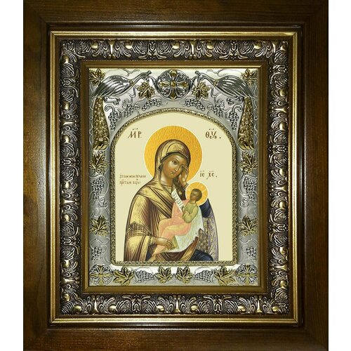Икона Пресвятой Богородицы Утоли моя печали икона пресвятой богородицы утоли моя печали в тёмной ризе 12 5х16 см вес 272 г