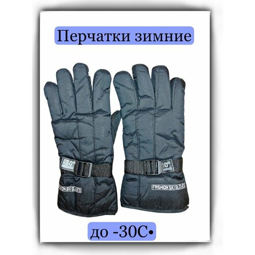 фото Перчатки , размер универсальный, черный не определен