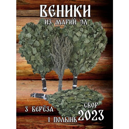 Комплект веников для бани, береза 3 штуки и полынь из Марий Эл