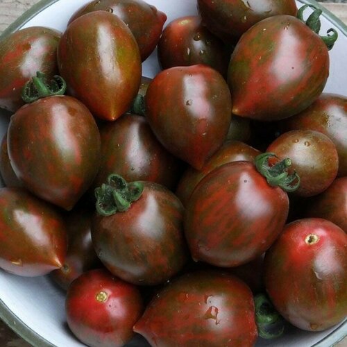 Томат Монисто шоколадное автор. (семена). семена гавриш томат монисто шоколадное 0 05 г