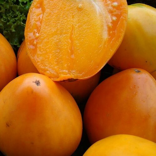 Томат Бычье сердце янтарное автор. (семена).