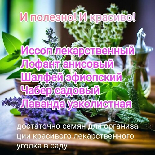 Лекарственные декоративные травы, цветы, набор семян печкарева а в лекарственные травы