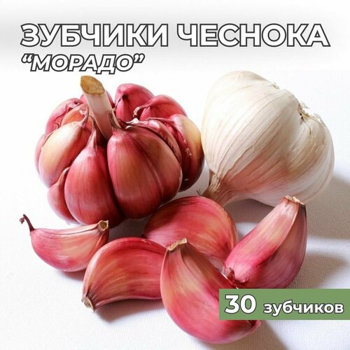 Зубчики чеснока на посадку Морадо 30шт