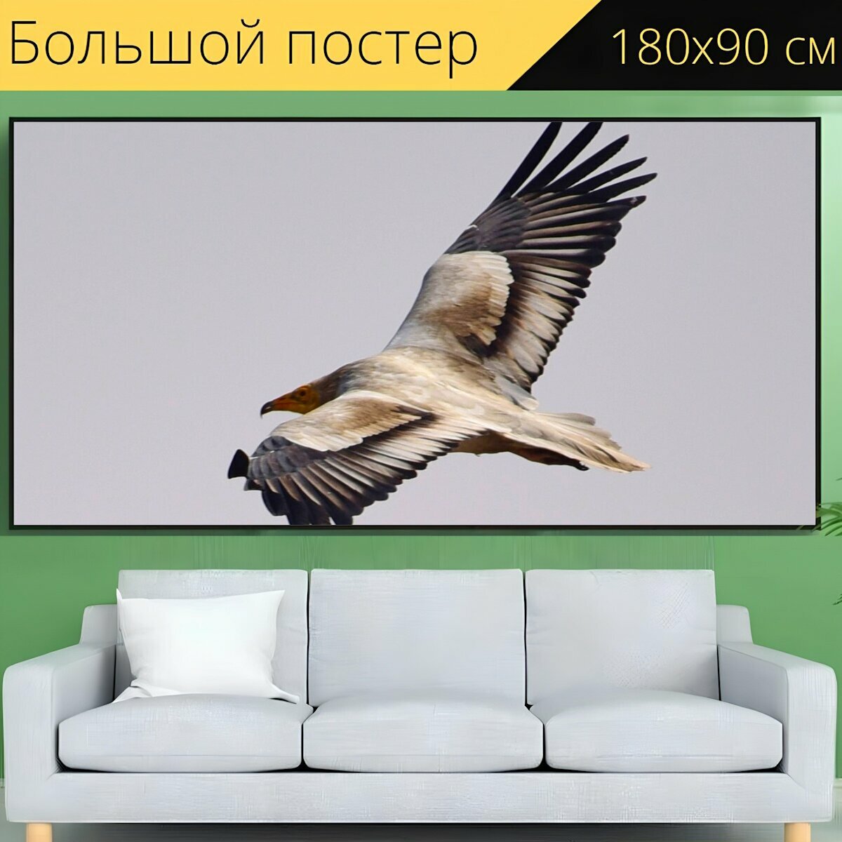 Большой постер "Стервятник, летающий, птица" 180 x 90 см. для интерьера