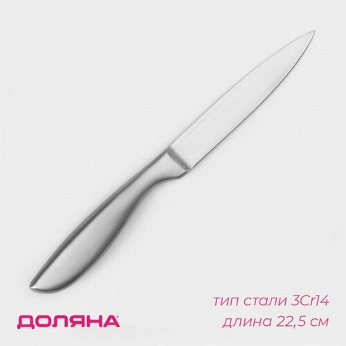 Нож универсальный Salomon, лезвие 12,5 см