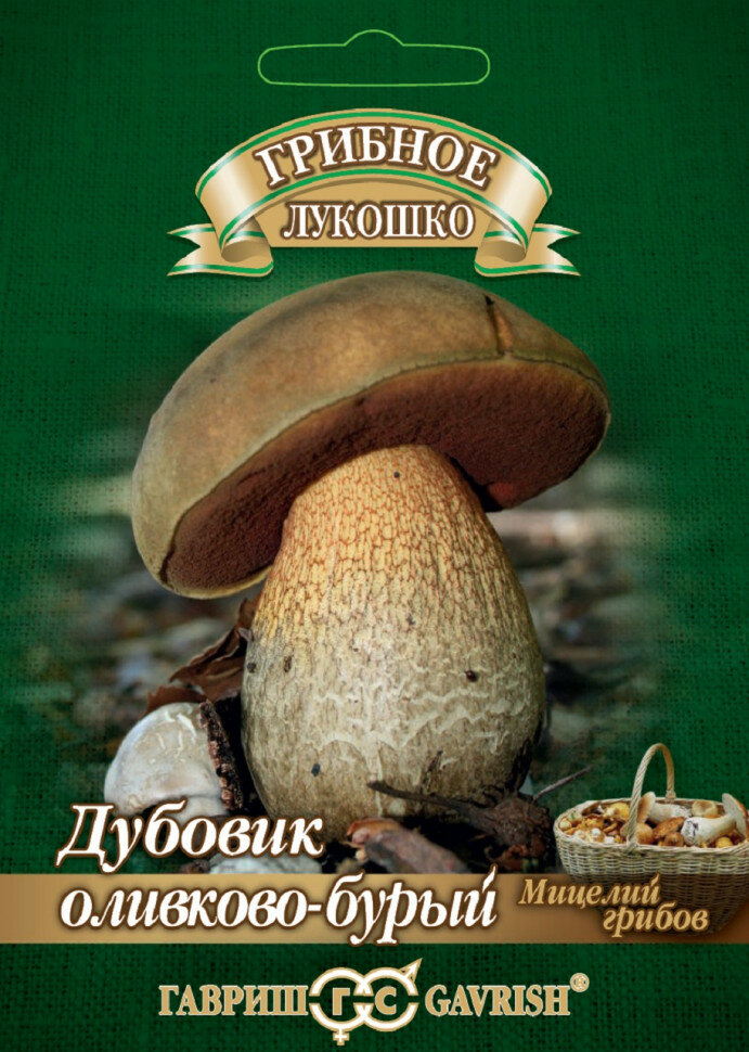 Мицелий Дубовик оливково-бурый на зерновом субстрате 15мл Гавриш 2 пакетика