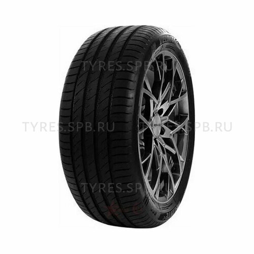 Шина Delinte DS2 245/50 R18 100W