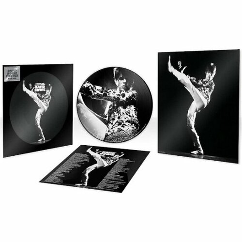Виниловая пластинка Warner Music David Bowie - The Man Who Sold The World (Limited Edition)(Picture Disc)