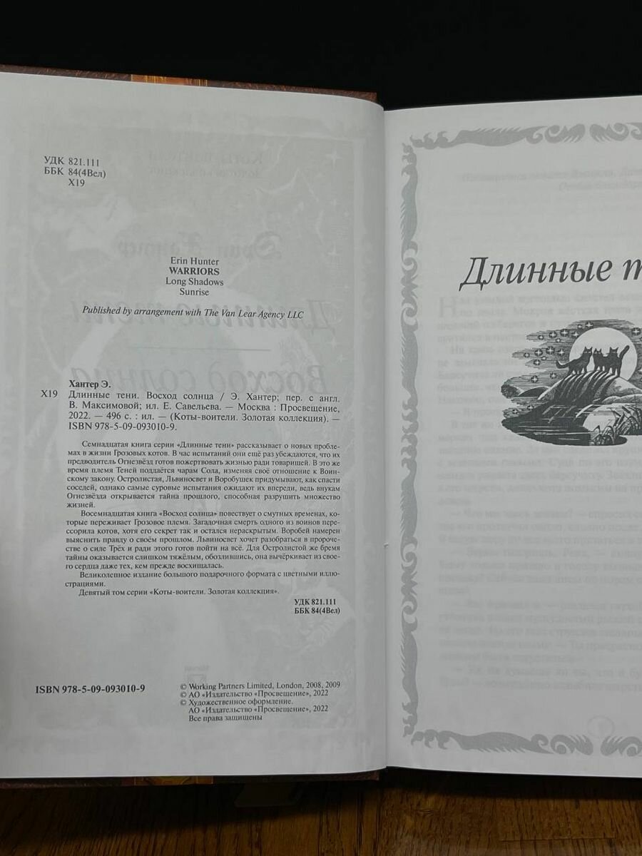 Книга Коты-воители. Длинные тени. Восход солнца - фото №5