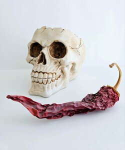 Основная фотография от вендора