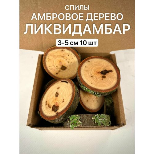 Спилы Амбрового Дерева (Ликвидамбар) 3-5см 10шт