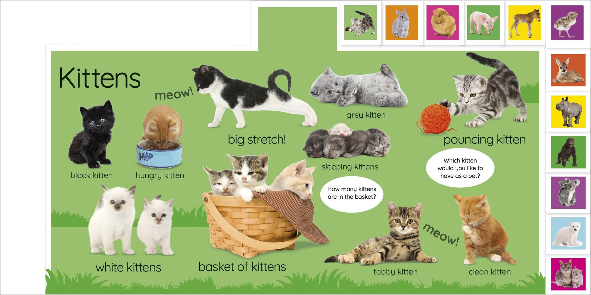 My First Baby Animals. Let's Find Our Favourites! - фото №4