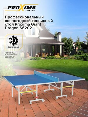 Профессиональный всепогодный теннисный стол Proxima Giant Dragon S6202