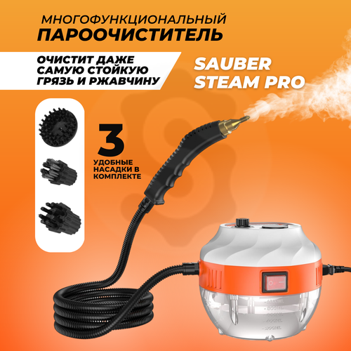 Многофункциональный пароочиститель Sauber 699000₽