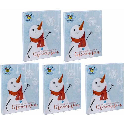 Детский новогодний подарок KoroBoom 