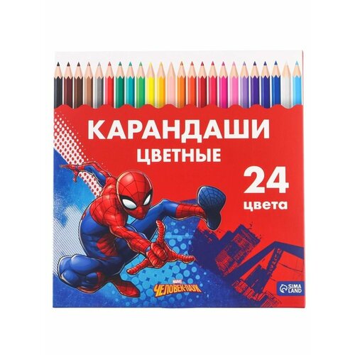 Карандаши цветные, 24 цвета Супергерой карандаши цветные marvel 24 цвета супергерой человек паук