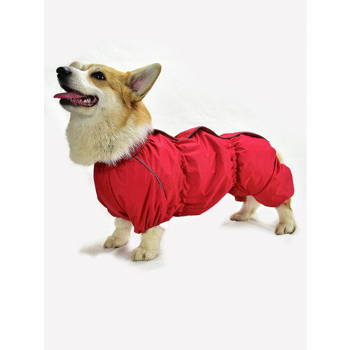 Комбинезон на Корги ДжекиДог мембранный для собаки-девочки 50 красный
