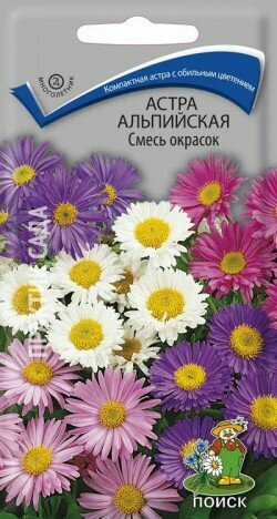 Астра альпийская Смесь окрасок многол. 0,3гр. (Поиск)