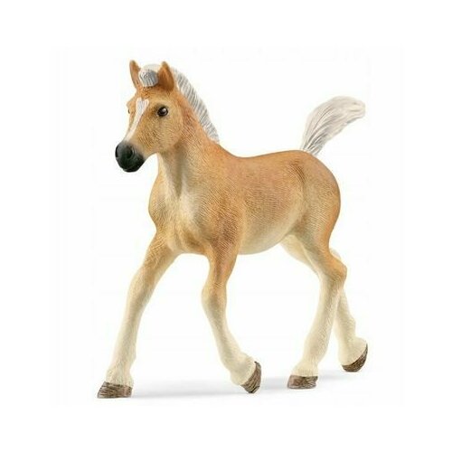 Фигурка коллекционная животное жеребенок хафлингера 13951 SCHLEICH collecta коллекционная статуэтка прогулка жеребенка хафлингера