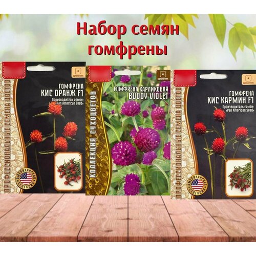 Семена цветов для сада Гомфрена