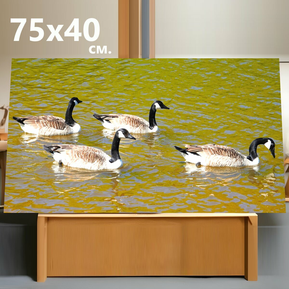 Картина на холсте "Гуси, животные, птицы" на подрамнике 75х40 см. для интерьера