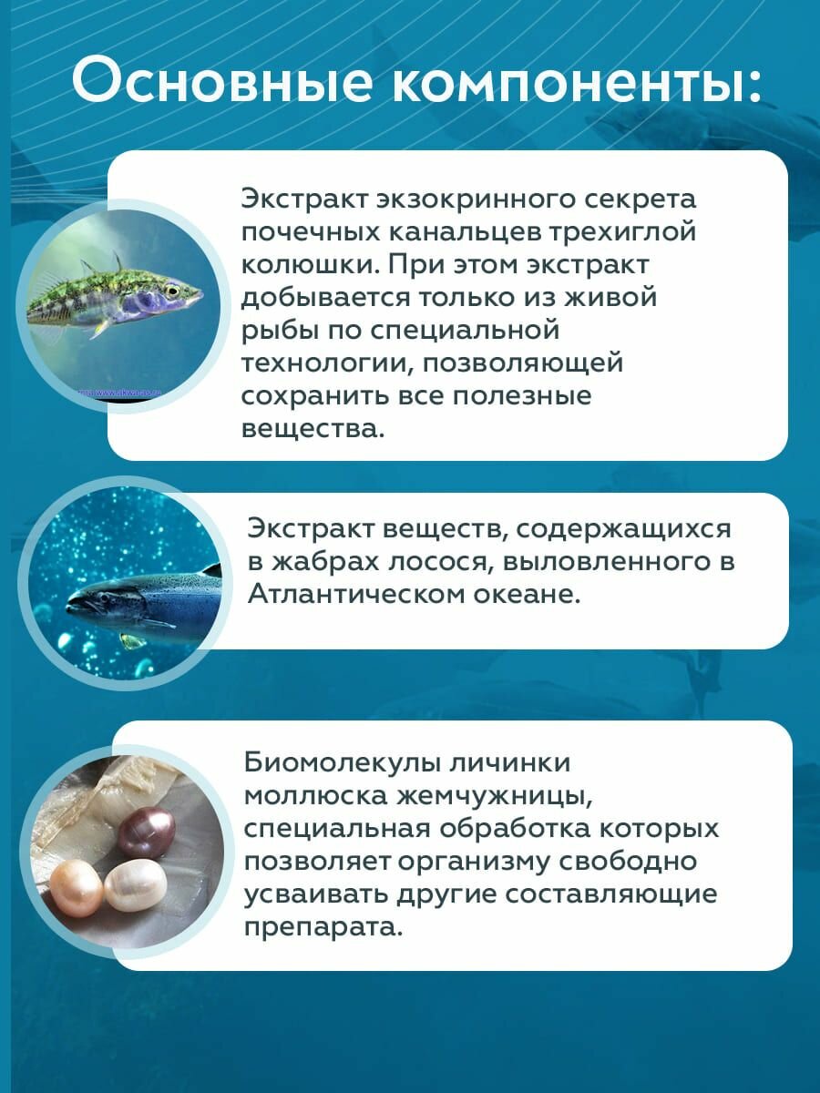 Изображение Арктика Форте Плюс леюрус геропротектор, при онкологии миоме аденоме мастопатии болезнях щитовидной железы