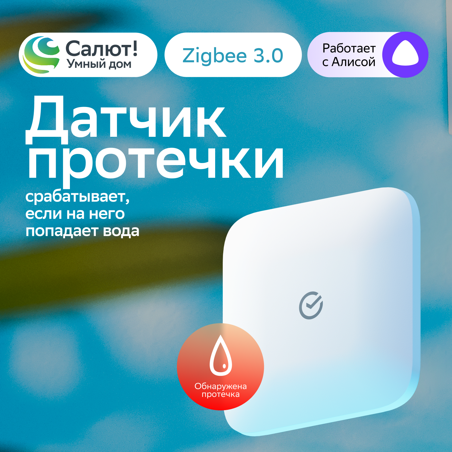 Умный датчик протечки воды Sber SBDV-00154, Zigbee 3.0, Совместим с Салют и Яндекс Алисой, Белый