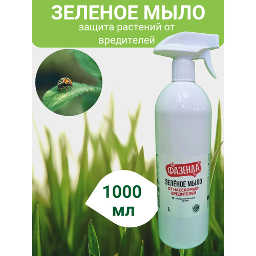 Зеленое мыло от болезней и насекомых вредителей