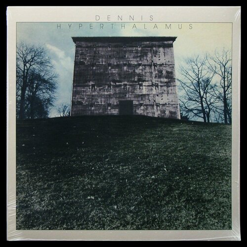 Виниловая пластинка Long Hair Dennis – Hyperthalamus