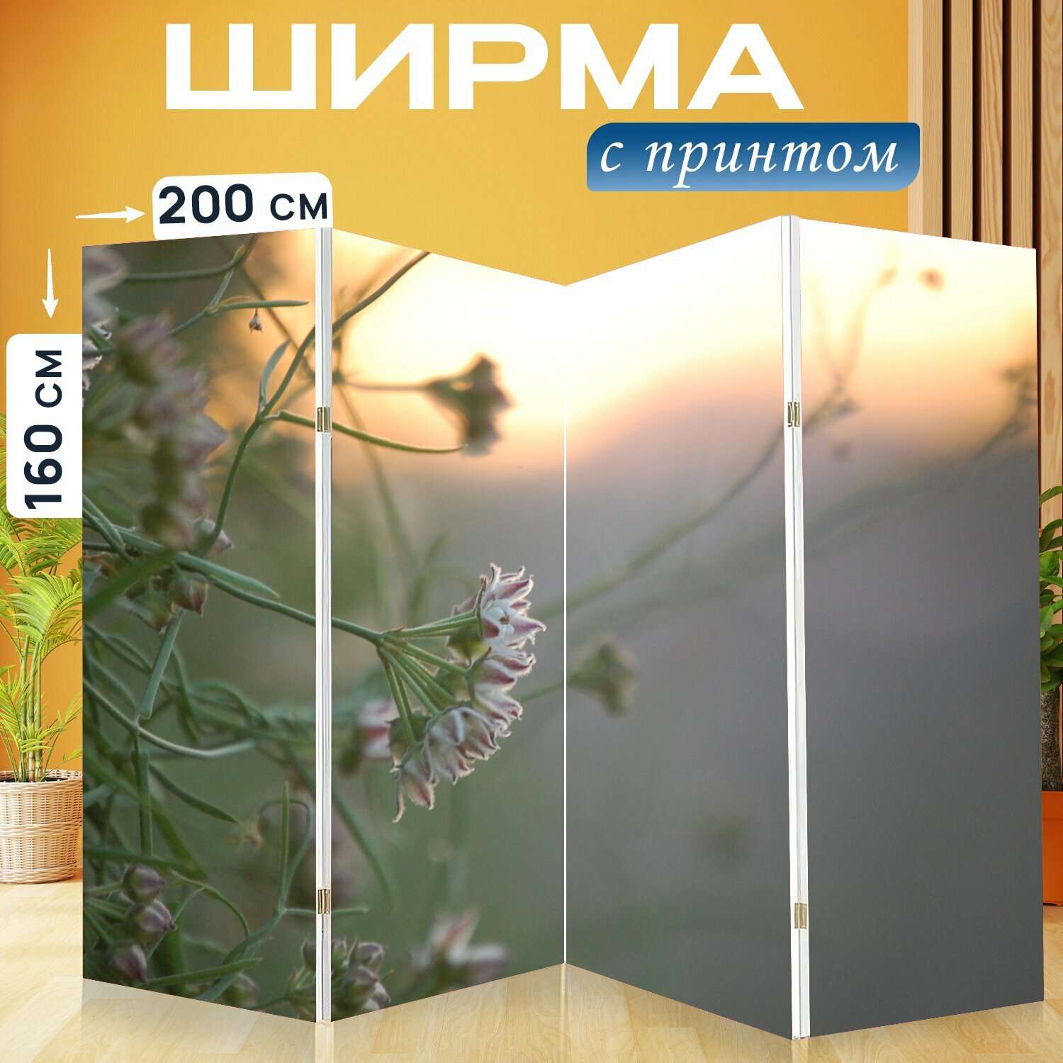 Ширма "Молочая, цветок, восход солнца" раскладная перегородка для зонирования с принтом на холсте