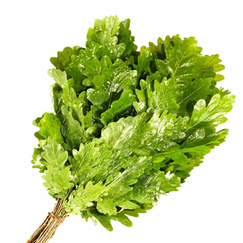 Веник из дуба для парения в бане и сауне — фото 1