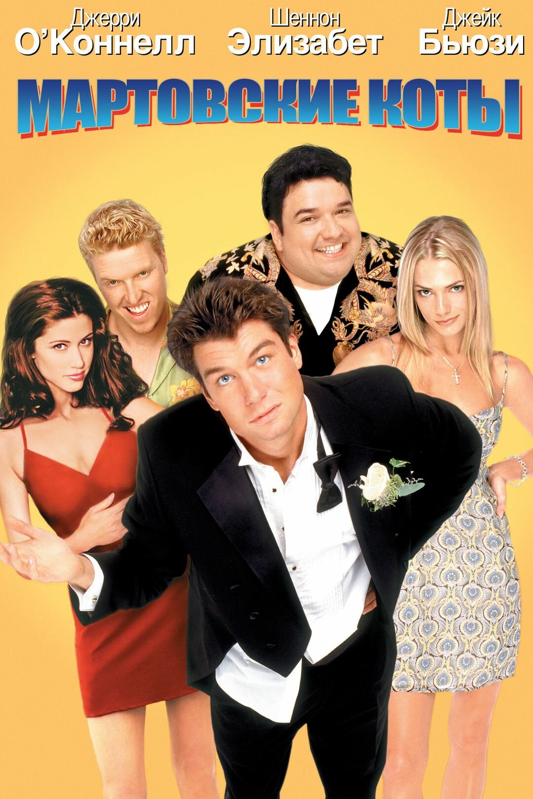 Мартовские коты (DVD)
