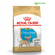 Royal Canin Chihuahua Puppy для щенков породы чихуахуа Курица, 500 г.