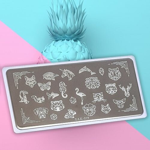 019 Пластина для стемпинга ЛакShery