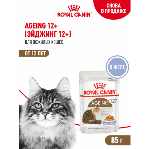Royal Canin AGEING 12+ (эйджинг 12+) Корм консервированный полнорационный для стареющих кошек в возрасте старше 12 лет, мелкие кусочки в желе.
